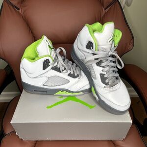 Air Jordan 5 Retro Silver & Green